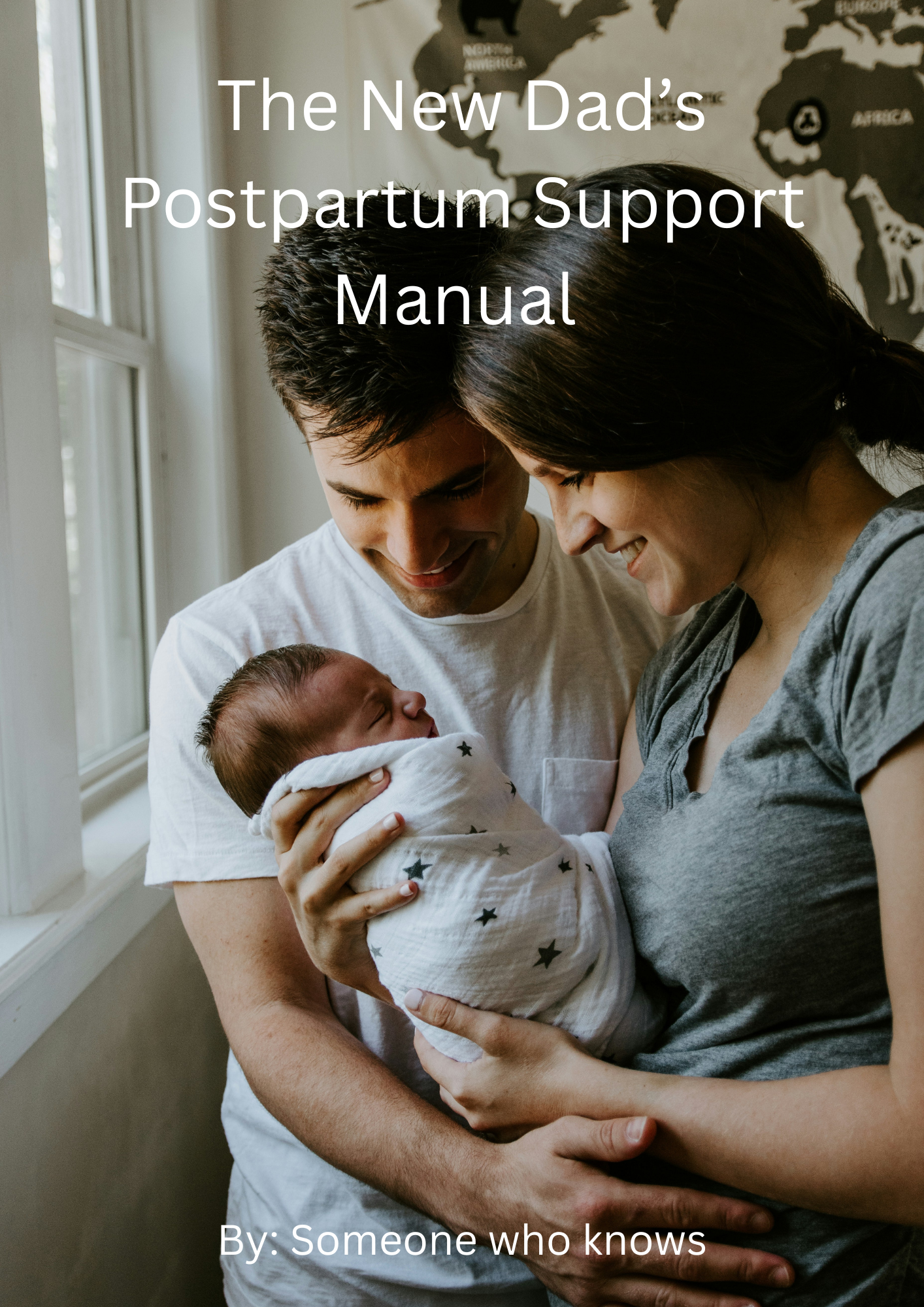 The New Dad’s Postpartum Support Manual